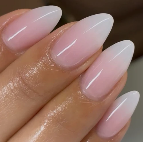 Le monde de la prothésie ongulaire en 70H