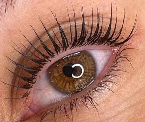 Rehaussement de cils 7H